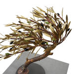 Aggelos & Filippos Panayiotidis In De Wind (Στον άνεμο)