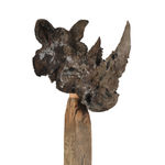 Ronceval Brown Rhino