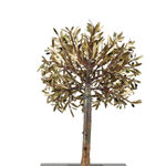 Aggelos & Filippos Panayiotidis In De Wind (Στον άνεμο)