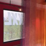 Tomislav Topić, Study Goa 14, 2025