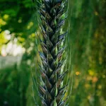 Jens Settergren, Prototype (IV), 2022