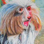 Alexander Reben, A Brown and White Dog Sitting in the Grass Holding a Frisbee in Its Mouth, 2018