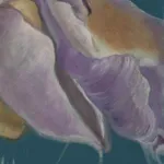 Kalliopi Lemos, Immersed in Memories 7, 2025