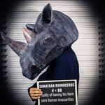 Sabina Jafar, Sumatran rhinoceros, 2025