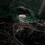 Marshmallow Laser Feast, Poetics of Soil: Fly Agaric II, 2024