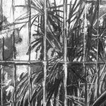 Gerard-Byrne-Some-Like-it-Hot-National-Botanic-Gardens-of-Ireland-charcoalogy-exhibition-art-gallery-dublin-ireland-drawing-detail