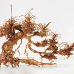 Max Hooper Schneider, Dendrite Bonsai (Lemon), 2023