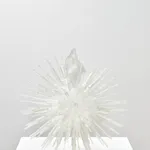 Jeffrey Meris, zaboka, 2026