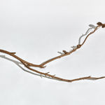 Kelly Akashi, Be Me, 2020-2021