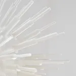 Jeffrey Meris, zaboka, 2026