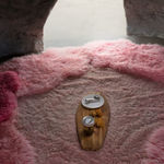 Candice Lin, Meditations on Last Philosophy (in which the possibilities of a coevolutionary, spontaneously generated, parasitic future are demonstrated), 2015