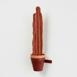 Zhang Ruyi, Planter–5, 2018