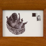 Em Kettner, More Room, 2024