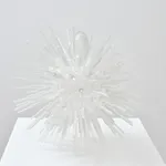 Jeffrey Meris, zaboka, 2026