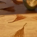 Kelly Akashi, Wall Candle (North), 2016