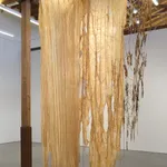 Tomás Díaz Cedeño, Bosque, 2020