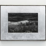 Em Rooney, Poppy for Emi Wada, 2020