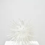 Jeffrey Meris, zaboka, 2026