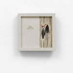 Noel McKenna, Remember to come home... Brisbane River, 2023