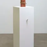 Candice Lin, Meditations on Last Philosophy (in which the possibilities of a coevolutionary, spontaneously generated, parasitic future are demonstrated), 2015