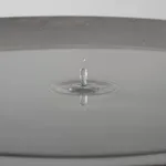 Ash Roberts, Tegula, 2025