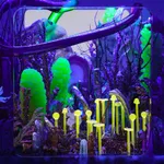 Mike Kuchar, Eden Park, 2023