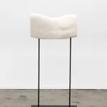 Arthur Jafa, Cassowary_Mechanics of Empathy, 2017