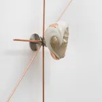 Ivana Bašić, I too had thousands of blinking cilia, while my belly, new and made for the ground was being...