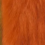 Victoria Gitman, Untitled, 2019