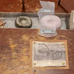 Quentin James McCaffrey, Seascape with Sunbeam, 2025