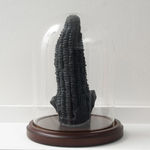 Candice Lin, Slaughtered Pigs, 2012