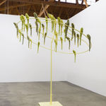 Kathleen Ryan, Parasol, 2017