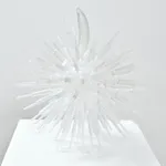 Jeffrey Meris, zaboka, 2026