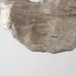 Ash Roberts, Tegula, 2025