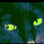 Mike Kuchar, Thoughts and Feelings, 2019