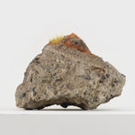 Zhang Ruyi, Planter–5, 2018