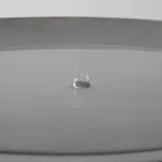 Ash Roberts, Tegula, 2025