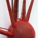 Em Rooney, Poppy for Emi Wada, 2020