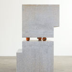 Kathleen Ryan, Parasol, 2017