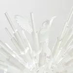 Jeffrey Meris, zaboka, 2026