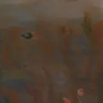 Ash Roberts, Tegula, 2025