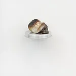 Salim Green, Store Runner, 2025