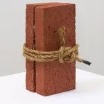 Candice Lin, Meditations on Last Philosophy (in which the possibilities of a coevolutionary, spontaneously generated, parasitic future are demonstrated), 2015