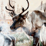 McKenna Prather, Bear Portrait