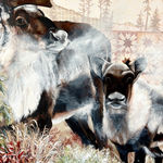 McKenna Prather, Bear Portrait