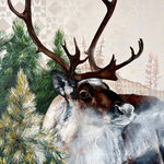 McKenna Prather, Bear Portrait