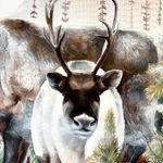 McKenna Prather, Bear Portrait