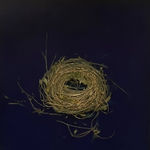 mayme kratz Knot birds nest in resin