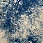 Dora Somosi, Sunken Forest II, 2024