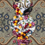 Spode Creatures of Curiosity photograph by JP Terlizzi buy framed art